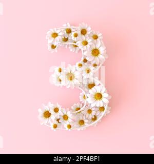 Number 1 made of natural chamomile flowers. Cute camomiles number one ...