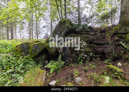 Remains of the ruins of Adolf Hitlers Tannenberg Fuehrer headquarters on Kniebis, the site was blown up after the war, Black Forest, Baiersbronn Stock Photo