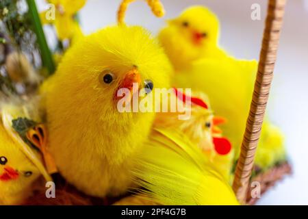 Decorative yellow Easter chicks in wicker Easter basket, close-up view. Stock Photo