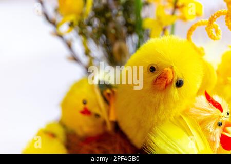 Decorative yellow Easter chicks in wicker Easter basket, close-up view, copy space. Stock Photo