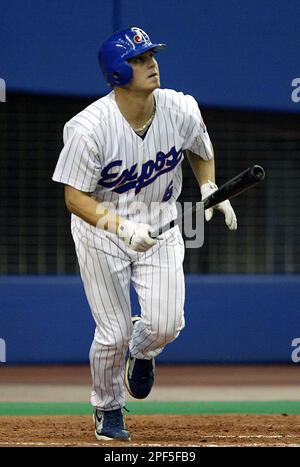 Montreal Expos' Vladimir Guerrero hits a two-run home run off St. Louis  Cardinals pitcher Larry Luebbers to extend his hitting streak to 30 games  in Montreal Wednesday, August 25, 1999. (AP PHOTO/Ryan