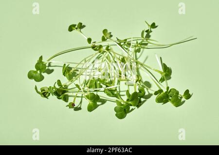 Fresh broccoli sprouts or microgreens on green background Stock Photo