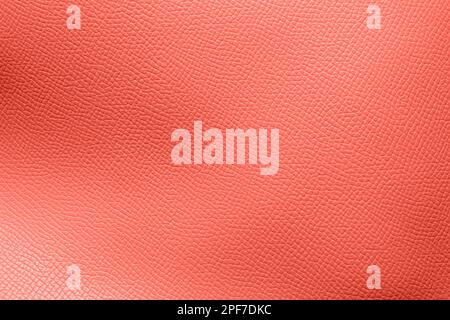 Closeup view of coral leather texture Stock Photo