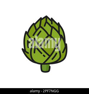 Green globe artichoke or thistle, vegetarian food color line icon. Vector healthy veggie greens, fresh french artichoke head flower bud, salad ingredi Stock Vector