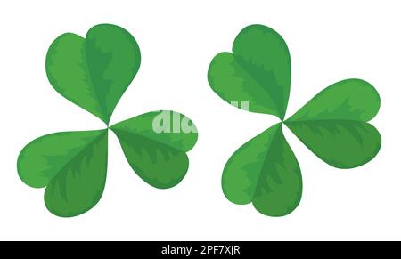 Set with two three-leaf clovers. Green shamrocks in cartoon style over white background. Stock Vector
