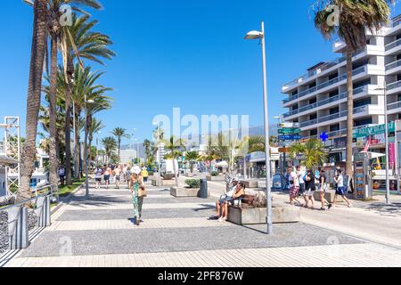 Beach promenade, Avenue Rafael Puig Lluvina,, Playa de las Américas, Tenerife, Canary Islands, Kingdom of Spain Stock Photo