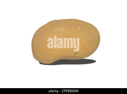 potato  vector art on white bg Stock Vector
