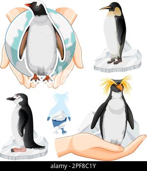 Cute Penguin Icons Set illustration Stock Vector