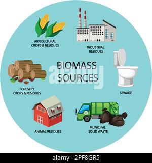 The Many Forms of Biomass Energy illustration Stock Vector