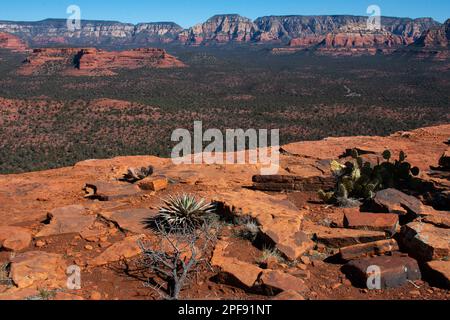 The view from the plateau at the top of Doe Mountain hiking trail in Sedona, Arizona Stock Photo