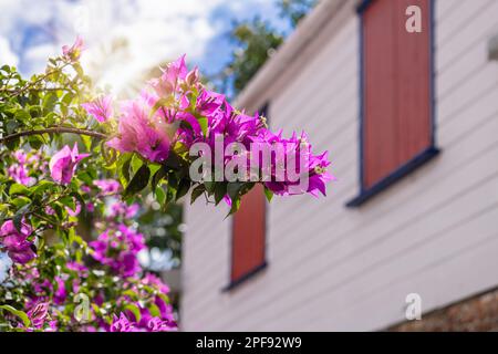 Old town historic streets of Redcliffe Quey in Saint Johns on Antigua and Barbuda. Stock Photo