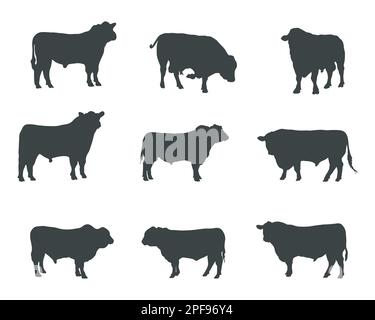 Aberdeen Angus silhouettes , Aberdeen Angus cow silhouette set Stock Vector