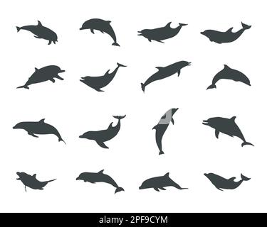 Dolphin silhouettes, Jumping dolphins silhouette, Dolphin vector Stock Vector