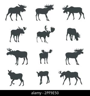 Moose silhouettes, Moose silhouette set Stock Vector