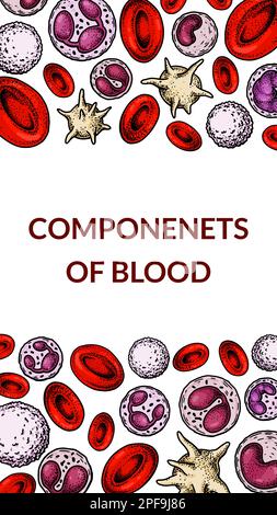 Blood cells background. Design for blood test, anemia, donation, hemophilia, laboratory scientific research concepts. Vector illustration in sketch st Stock Vector