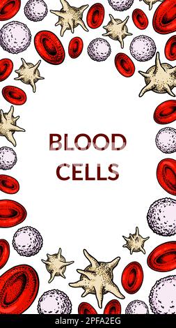 Blood cells background. Design for blood test, anemia, donation, hemophilia, laboratory scientific research concepts. Vector illustration in sketch st Stock Vector