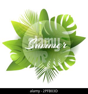 Tropical green leaves palm, monsteras with white round banner with text. Summer Time Concept. Isolated on white background. Vector illustration. Stock Vector