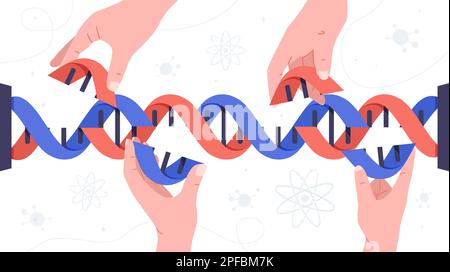 Hands with DNA Stock Vector