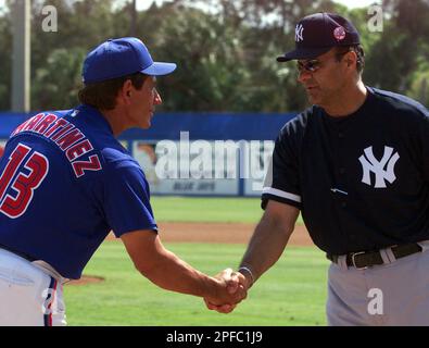 Buck Martinez  Four Seam Images