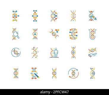 Dna icons color set Stock Vector