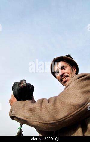 Portrait of an Uyghur man with his chicken taken at a weekly livestock market in the outskirts of Kashgar, Xinjiang, China. Stock Photo