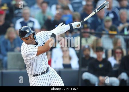 This is a 2023 photo of Carlos Rodon of the New York Yankees baseball team.  This image reflects the Yankees active roster as of Wednesday, Feb. 22,  2023, when this image was