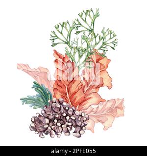 Composition of colorful sea plants watercolor illustration isolated on white. Red porphyra, , purple coral, codium, spirulina hand drawn. Design eleme Stock Photo