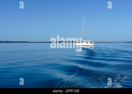 Ripples from the wash behind a boat lead the eye to a single white boat on the calm, blue waters offshore to Coochiemudlo Island Stock Photo