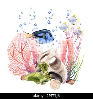 Underwater composition with corals, exotic fishes and shells. Watercolor illustration isolated on white background Stock Photo