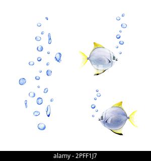 Water bubbles and exotic silver moony fishes composition. Watercolor illustration isolated on white background Stock Photo