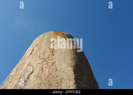 Menhir de Champ-Dolent (9,30 m. height). Dol-de-Bretagne. Commune in the Ille-et-Vilaine department. Brittany. France Stock Photo