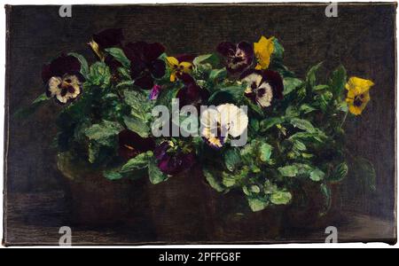 Henri Fantin-Latour, Still Life with Pansies, painting in oil on canvas, 1892 Stock Photo