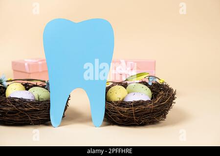 Easter dentistry. Blue tooth and painted eggs in nests on a beige background, a place for text Stock Photo