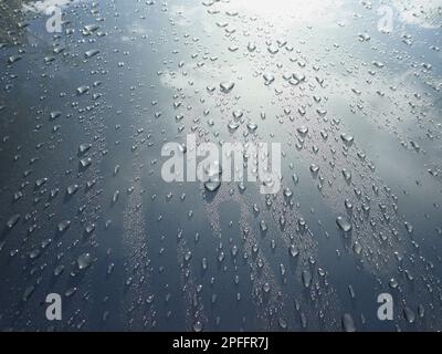 Sunny water drops on shining car bonnet Stock Photo