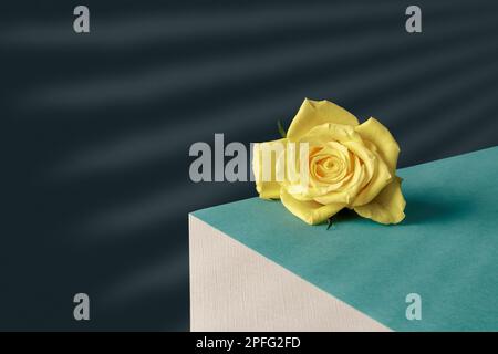 Rose on edge of shelf, optical illusion Stock Photo