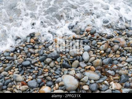 Set of rounded stones of different sizes and in gray tones on a beach bathed by sea water. Stock Photo