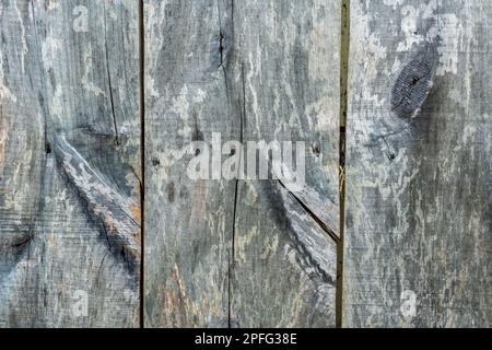Close up view of weathered vertical pine boards in tones of grey Stock Photo