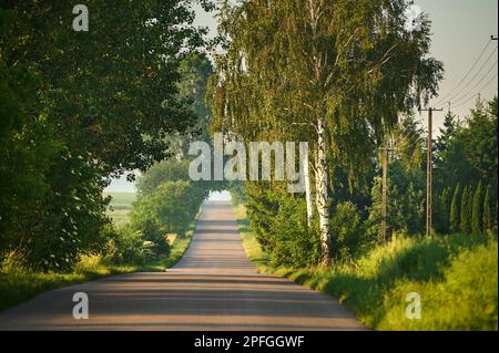 An asphalt paved road off the beaten track of a town between trees and fields Stock Photo