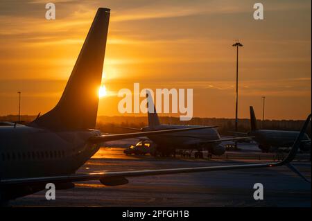 Silhouettes of the airplanes with Tails at airport during bright yellow sunset, concept picture about transport as background Stock Photo