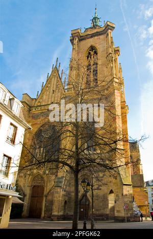 France, Alsace, Colmar, Saint Martin church Stock Photo