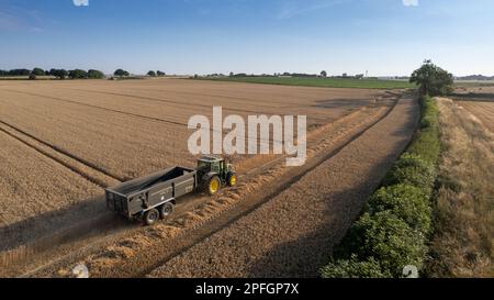 Harvesting a wheat field in North Yorkshire on a summers evening. UK. Stock Photo