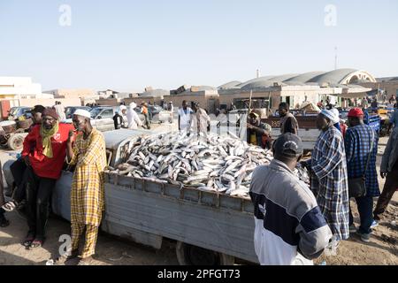 African fishermen with a truckload of fish. Port de Peche, Nouakchott's famous fish market, Mauritania. Stock Photo
