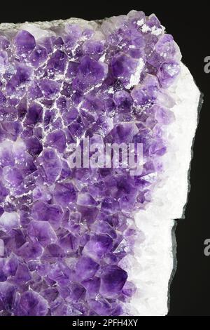 Amethyst crystal quartz. Unique crystal. Stock Photo