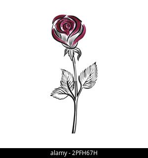 The red rose is drawn with outline, lines and watercolor. Banner design template, for printing wedding invitations, for business cards and labels, pos Stock Photo