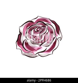 The red rose is drawn with outline, lines and watercolor. Banner design template, for printing wedding invitations, for business cards and labels, pos Stock Photo