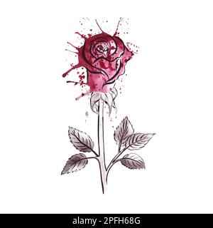 Red rose drawn with outline, lines and watercolor splashes. Banner design template, for printing wedding invitations, for business cards and labels, p Stock Photo