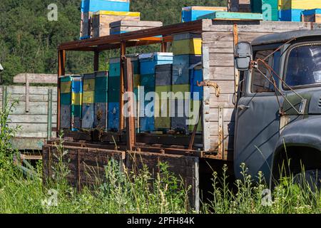 Apiary with beehives on a car platform in the field. Mobile apiary with hives on wheels. Honey is a useful natural product rich in nutritional and med Stock Photo