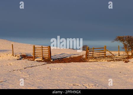 Open gateway on a farm in snow covered rural countryside at sunrise Stock Photo