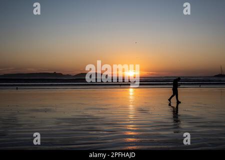 Man walking at sunset on the beach Stock Photo