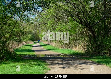 Two hikers in the distance on a path through meadows and woods in Northeast Ohio in early spring Stock Photo
